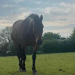Fennor Park