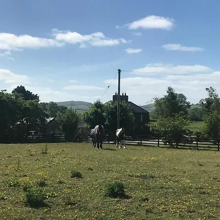 Fennor Park Alojamento de Turismo Selvagem Oldcastle