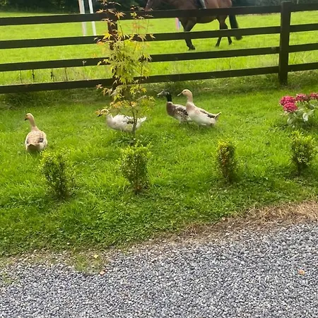 Fennor Park 山林小屋 *