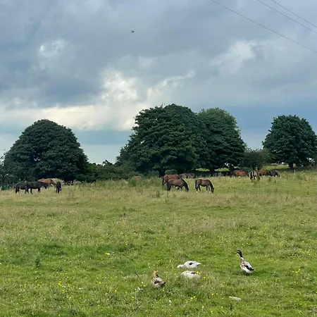 Fennor Park *