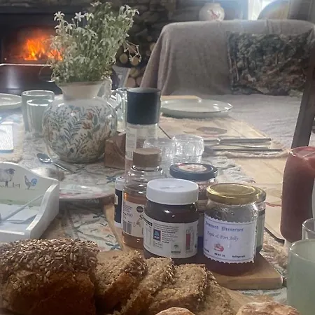 Fennor Park 山林小屋 Oldcastle