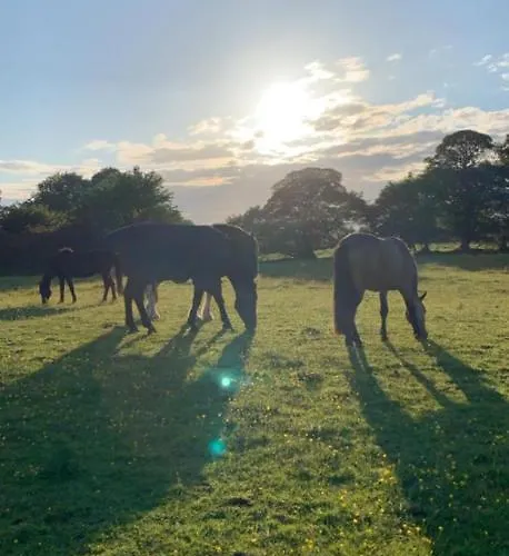 Fennor Park Hytte Oldcastle