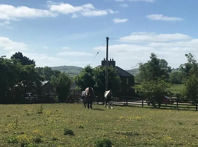 Fennor Park Jaktstuga Oldcastle