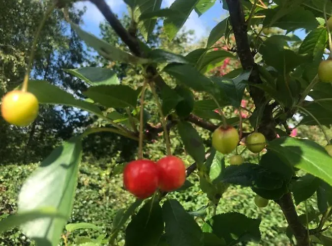 Fennor Park Jaktstuga