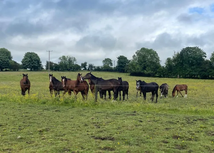 Fennor Park Jaktstuga